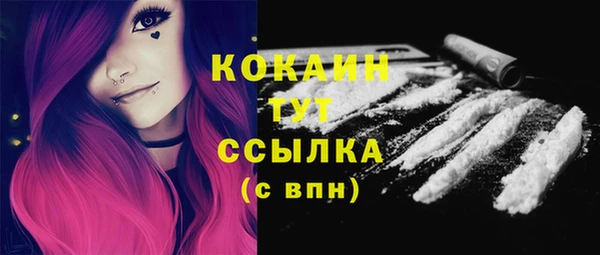 эйфоретик Горняк