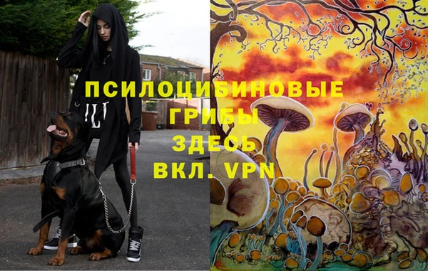 mdma Горнозаводск